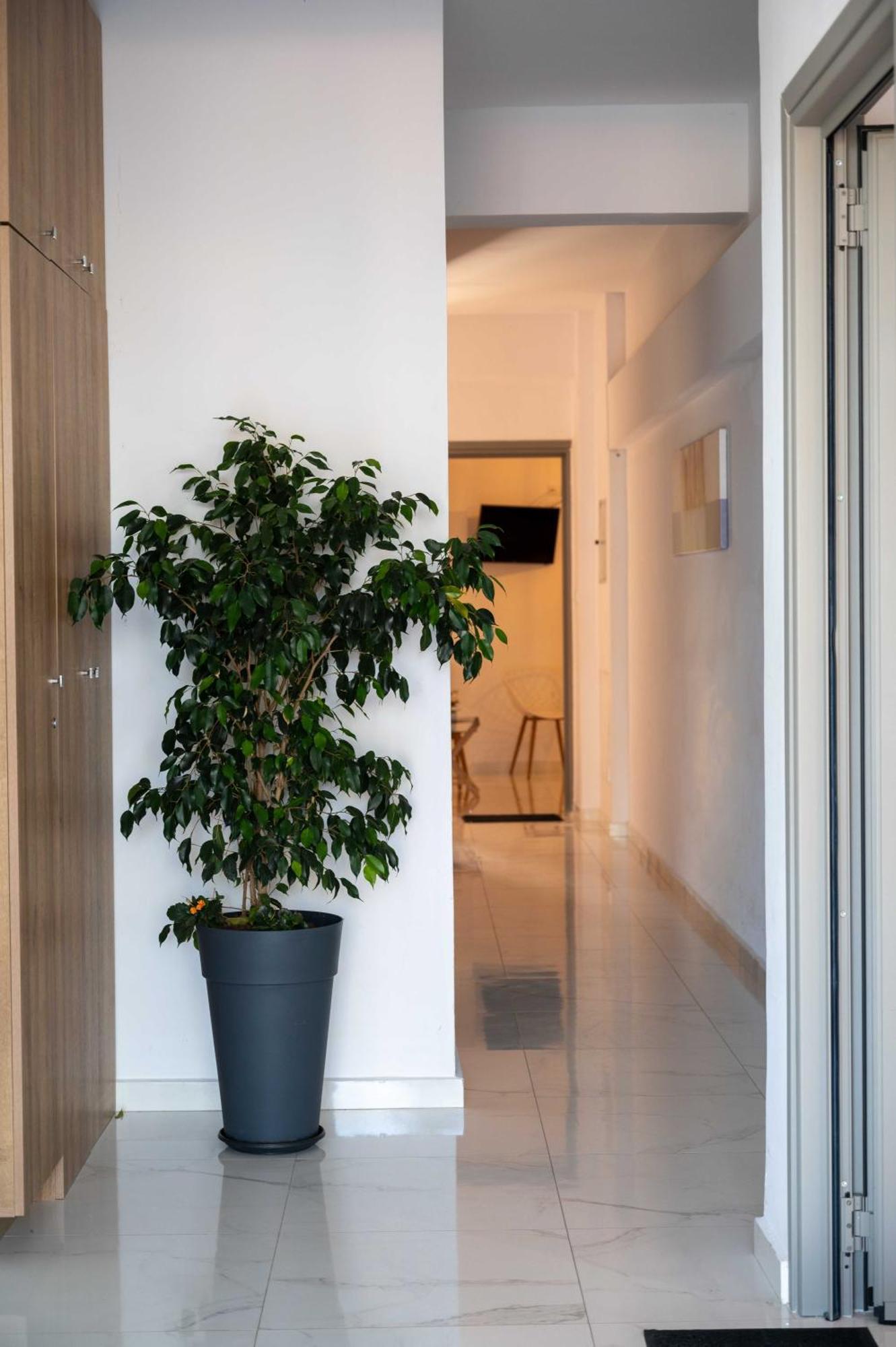 Finikas Suites & Apartments 10Min From Athens Airport Loútsa Exterior foto