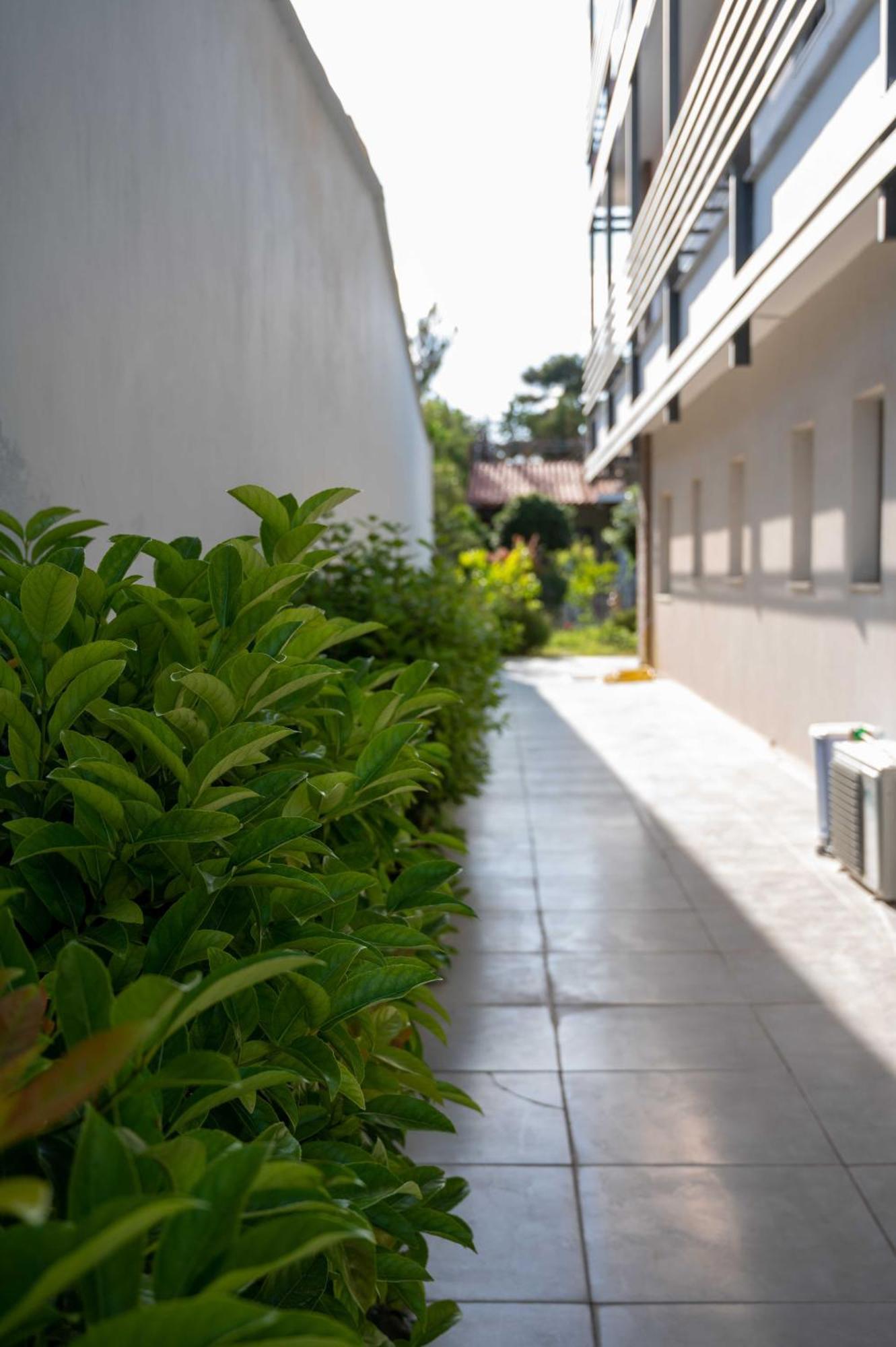 Finikas Suites & Apartments 10Min From Athens Airport Loútsa Exterior foto
